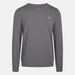 Grå langærmet bambus sweatshirt